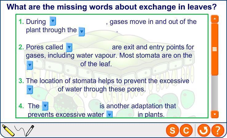 Water and gas exchange in