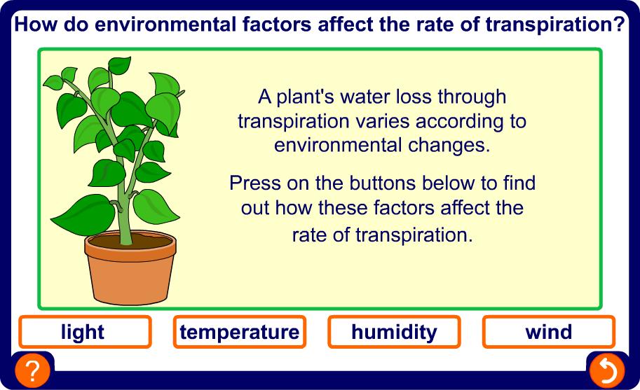 Why does transpiration vary?