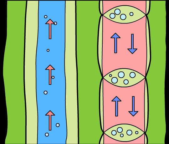 Which cells transport nutrients? 7 of 23 Boardworks Ltd 2012 Plants contain two types of cell adapted for transportation.