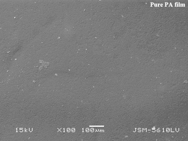 2.3 Characterization of film The morphology of film sample was observed by scanning electron microscopy (Model: SEM: JSM