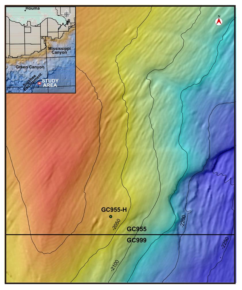 gas hydrate can form from thermogenic gas when migrating from the deep section into shallow section. Figure 1: Shaded relief map shows the seafloor on GC955 and the relative location of well GC955-H.