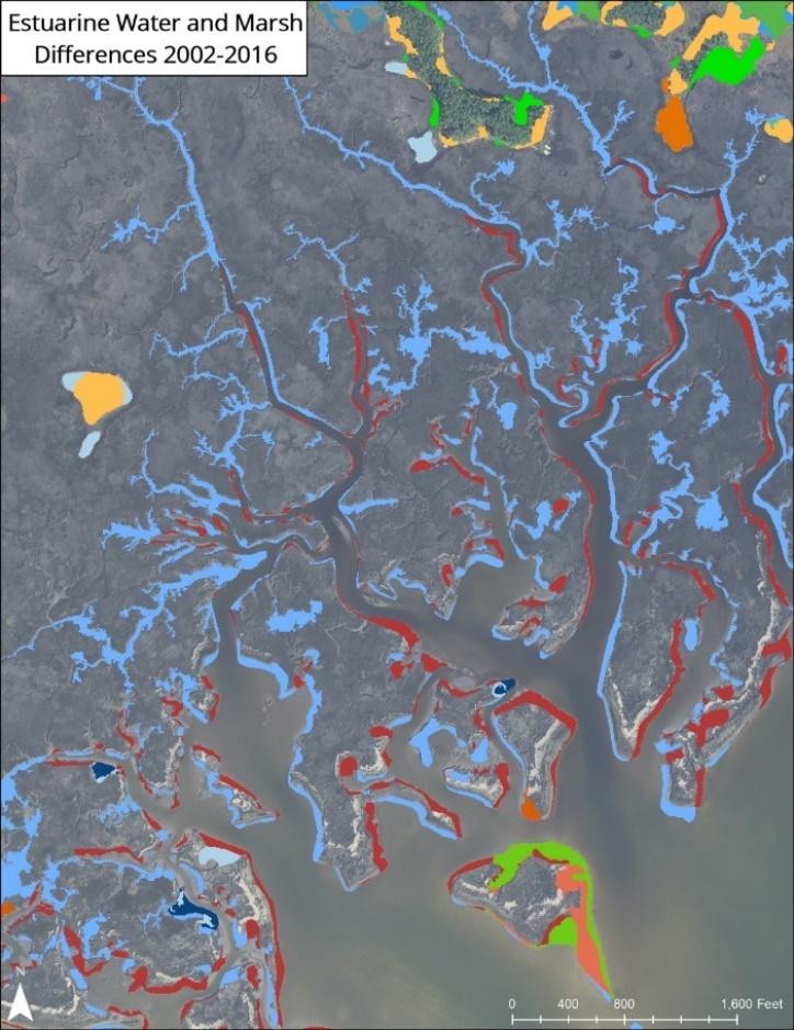 Figure 11 shows contributions to net change in Estuarine Unconsolidated Bottom.