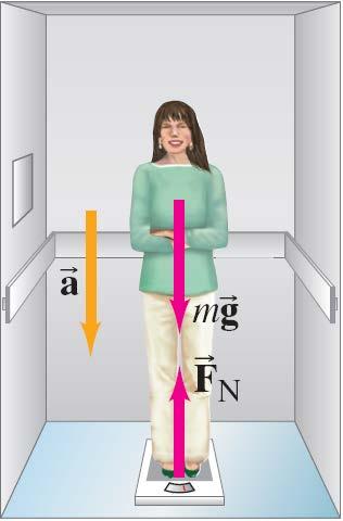 4-6 Weight the Force of Gravity; and the Normal Force Example 4-8: Apparent weight loss. A 65-kg woman descends in an elevator that briefly accelerates at 0.20g downward.