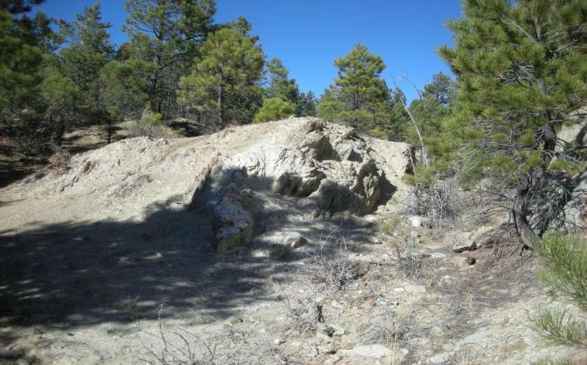 Navajo Mine, La