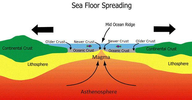 Other Sea Floor Features Mid-ocean Ridge Underwater mountain range with rift at center Evidence of sea floor