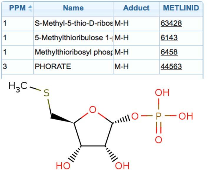 Possible ID of ion #6 KEGG pathway