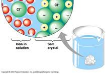 2 O (polar and ionic molecules) Hydrophobic Water fearing, not water soluble (nonpolar molecules) Ionic Compounds Dissociate in Water