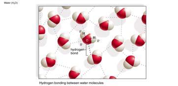 Polar Covalent Bonds Some atoms attract electrons more strongly than others electronegativity (a measure of an atom s attraction for shared electrons in chemical bonds) Atoms will have unequal