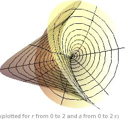 A more challenging one is Costa's Minimal Surface, discovered by Celso Costa in 1982. Topologically, it is a thrice-punctured ring torus.