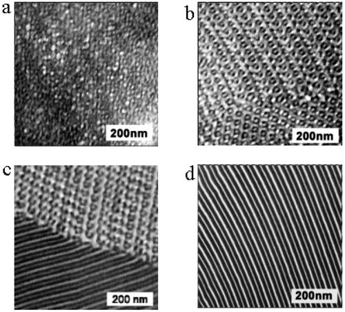 TEM of Polymers Showing Periodic Structure Novel