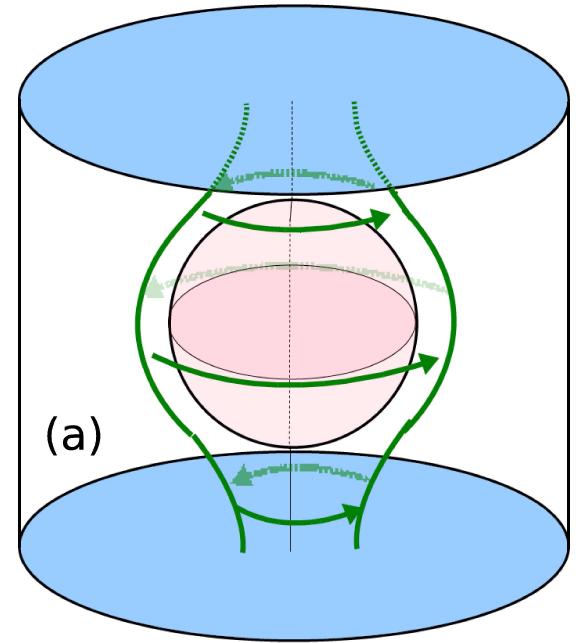 Vortex pinned on a nucleus SII = 5.