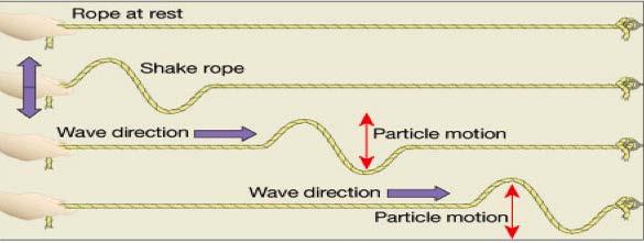 Seismic Waves: The