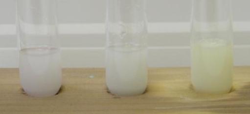 The s of halide ions with silver nitrate. This is used as a test to identify which halide ion is present.
