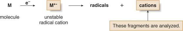 Introduction When the electron beam ionizes the molecule, the species that is formed is called a radical cation, and symbolized as M +.