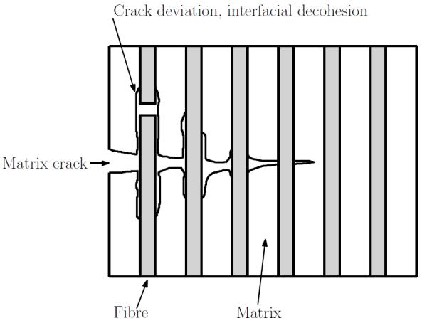 UNIAXIAL TESTS : TENSION Anisotropic elastic properties Highly non-linear behavior due to damage : Creation and opening of matrix cracks, arrested by the fibers After saturation of matrix cracking,