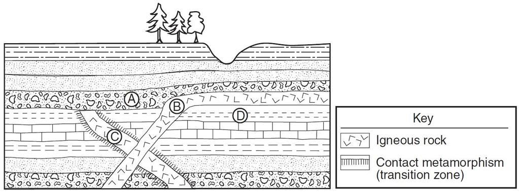 Base your answers to questions 1 through 5 on the cross section provided below. The cross section represents a portion of Earth s crust. Letters A, B, C, and D are rock units. 1. Igneous rock B was formed after rock layer D was deposited but before rock layer A was deposited.