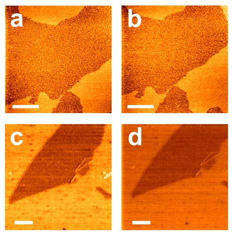 Supplementary Figure S1 Direct-writing on monolayer GO with Pt-free AFM tips in the presence of hydrogen.