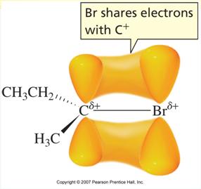Addition of excess hydrogen halides - an explanation of regioselectivity The Second Electrophilic Addition Reaction is Slower Generating a