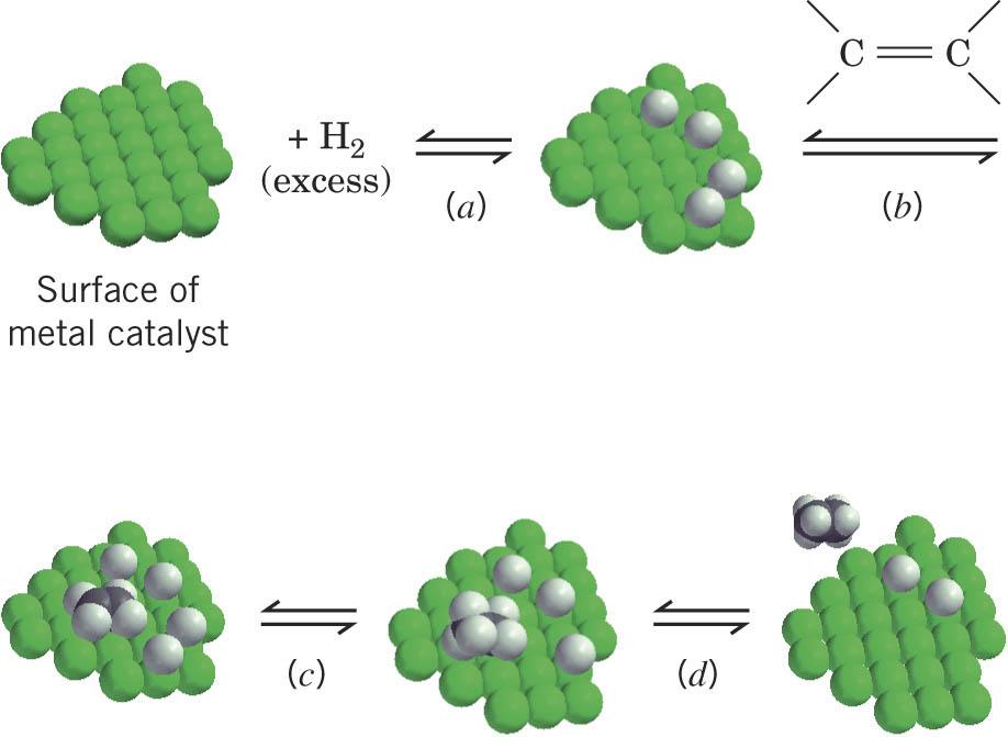 In heterogeneous catalysis the hydrogen and alkene adsorb onto the catalyst surface, and then a