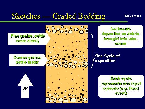 Sedimentary structures graded bedding
