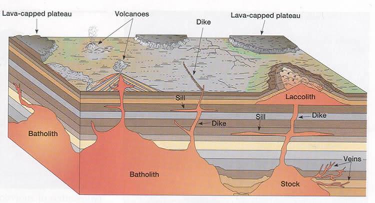 Tectonic Forces: