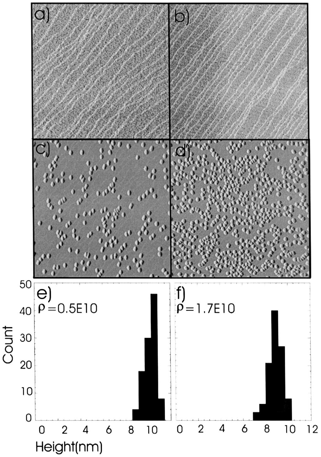 M. Borgstrom et al.rapplied Surface Science 165 ( 2000) 243 Fig. 1. AFM images Ž2=2 mm 2. of the terrace structure developed at 6508C on Ž a. InPrSn and Ž b. InPrFe. In Ž c. and Ž d.