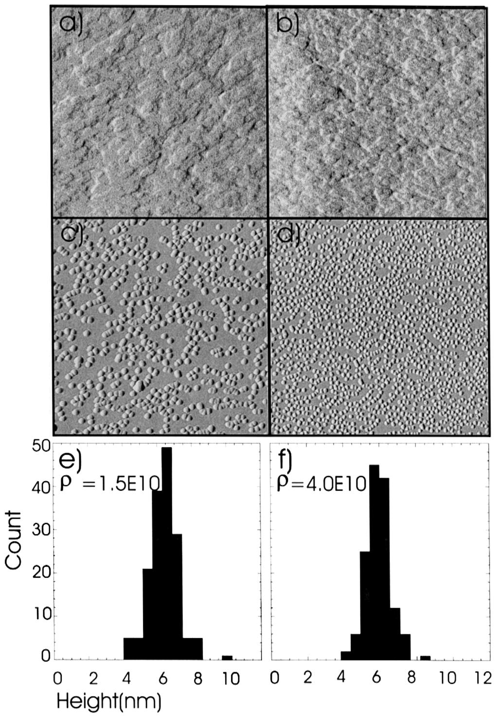 244 M. Borgstrom et al.rapplied Surface Science 165 ( 2000) Fig. 2. AFM images Ž2=2 mm 2. of the surface structure developed by growth during cooling down to 5008C on Ž. a InPrSn and Ž. b InPrFe.
