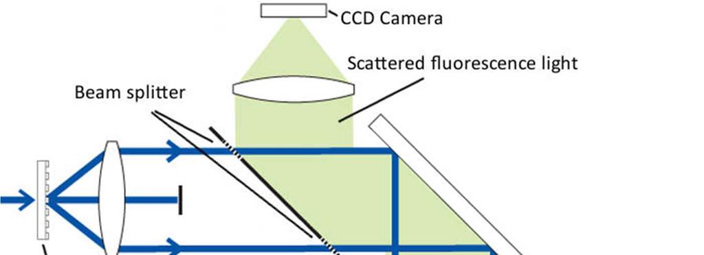 Diagram of quantum gas microscope