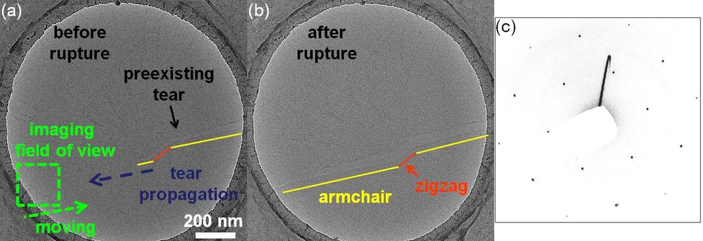 Supplementary Figure S1. The detailed procedure for TEM imaging of graphene torn edge. (a) TEM image of a graphene torn edge before the tear propagation.