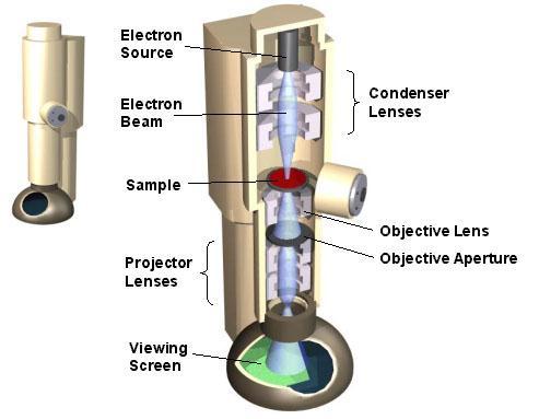 Transmission Electron Microscopy (TEM) Beam size: a few 30 Å Beam Voltage: 40kV- 1MV Resolution: 1-2Å Imaging radiations: