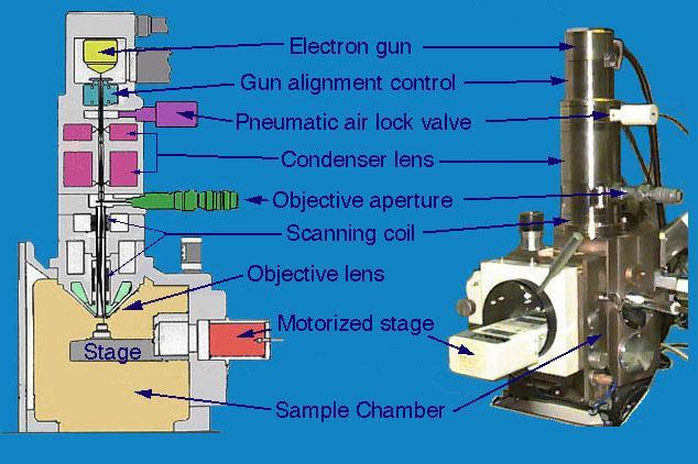 Scanning Electron Microscopy (SEM) Beam size: a few 30 Å Beam Voltage: 20-40 kv Resolution: 10-100 Å Magnification: 20 ~ 650,000 Imaging radiations: Secondary electrons, backscattering electrons