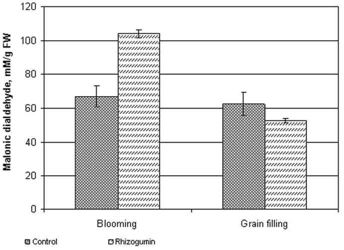improves the efficiency of soybeanrhizobia interaction (Volkogon et al., 2005).