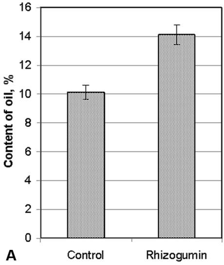 Natura Montenegrina 12(2), 2013 Figure 8: Content of crude oil (A) and protein (B) in seeds of soybean in control condition and after treatment with Rhizogumin.