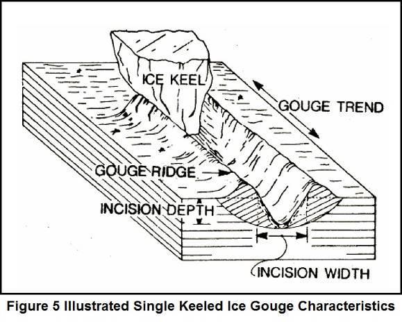 Bergy bits are small icebergs in the latter stages of melting or iceberg fragments, typically rising up to 4m out of the water.