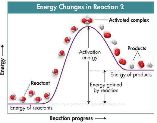 Compare the energy of the reactants (PE R or H R ) to the energy of the products (PE P or H P ) for each g raph. 3.