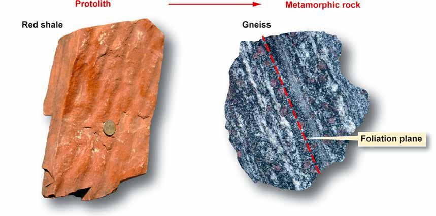 What Is a Metamorphic Rock? Metamorphism changes mineralogy.