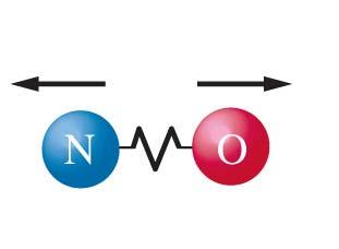 Vibrational Energy and Entropy NO molecule NO 2 molecule In general, the