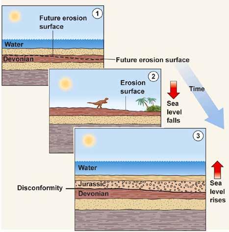 sedimentation: Pause in deposition Sea level