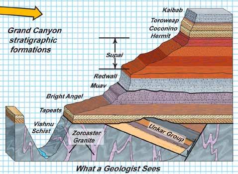 The Grand Canyon has thick layers of strata and