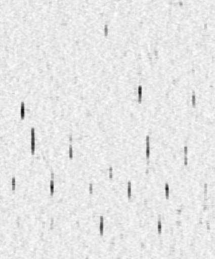 - Neighbor pixels - Considered pixel FIGURE 6. A 7 3 neighborhood used to analyze the ultrasonic C-scan image in Figure 5. 300 400 500 50 50 250 300 350 400 FIGURE 7.