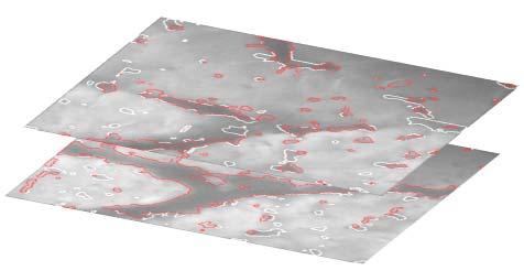 marbling of the meat sample (3D representation in 2D). Hence, the study of NIR image content allows the extraction of detailed information of all marbling under the meat surface.
