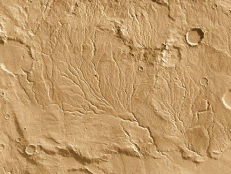 Dendritic Channels Martian