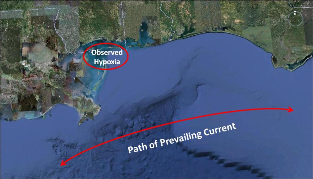 Figure 11: Location of the hypoxia east of the river in a regional context showing how the hypoxic area is out of the path of the