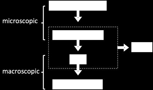 8 CHAPTER 1. INTRODUCTION Figure 1.3: Levels of plasma descriptions. microscopic.