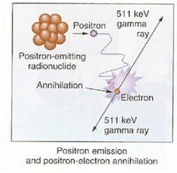 decay: results in emission of alpha particle (2 protons + 2 neutrons) beta decay: results in emission of a beta particle (like electrons) positron decay*: results in emission of a positron