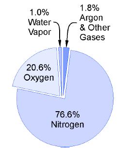 27.3 Properties of Gases Air is the most important gas to living things on the Earth.