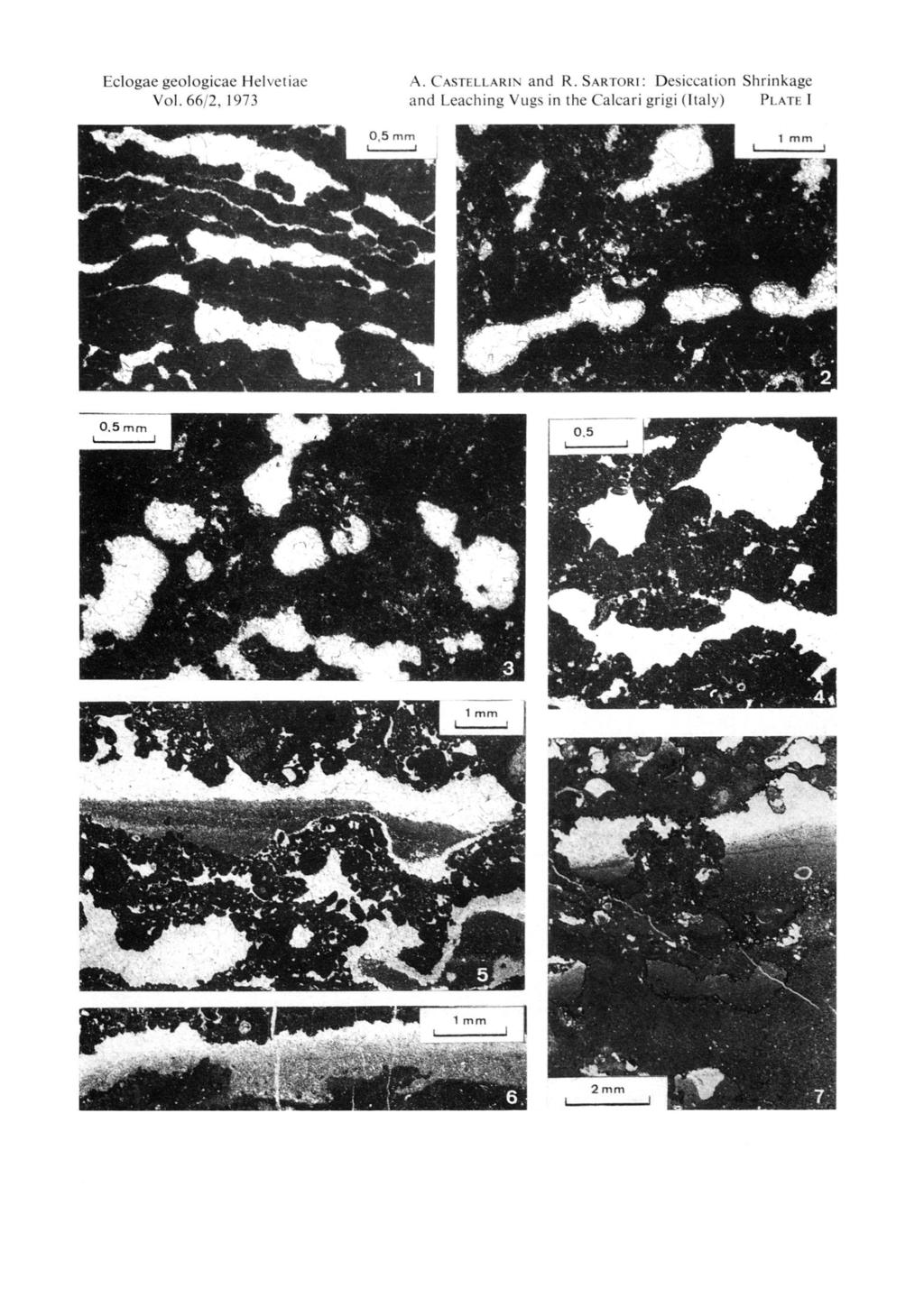 Eclogae geologicae Helvetiae Vol. 66/2, 1973 '^ 0.5 A. Castellarin and R.
