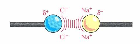 hemical Bonds/ionic and covalent bonds Lecture 2: 10 Ionic Bonds: Electrostatic attractions between two opposite charge ions such as Na + and - in NaL (table salt).