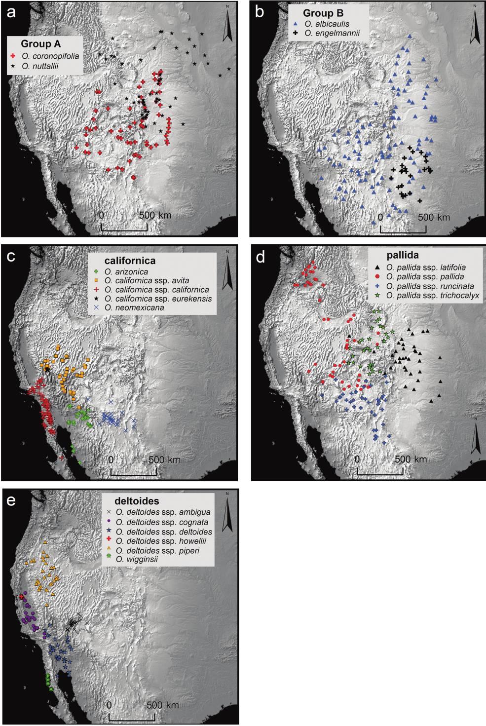 Figure 1: Locality data for the 19 taxa of sections Anogra and Kleinia (Oenothera, Onagraceae) in western North America.