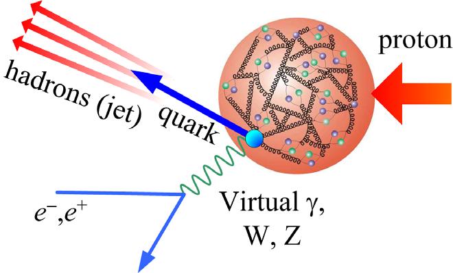 HERA looks into the proton ep collision scattering of electron and a quark. It reflects the proton structure.